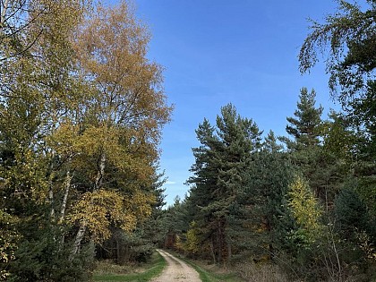 Circuit du Chapeauroux - VTT n°11