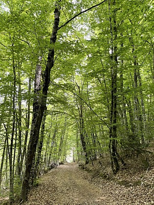 Du Gévaudan au Velay