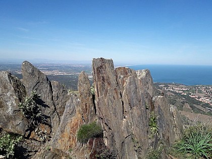 Collioure Heights