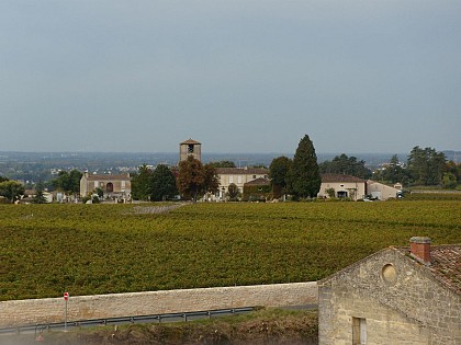 Boucle pédestre : La Route des vins biologiques