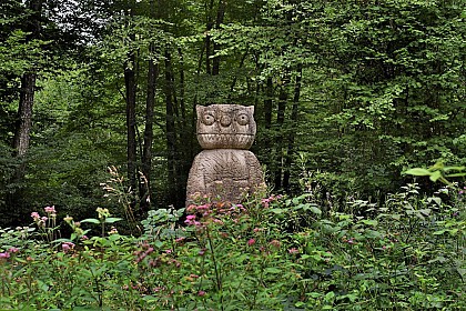 Vent des Forêts - Court circuit