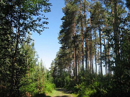 Chemin de l'Abbaye