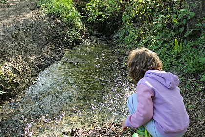 Chemin du Caillou Marais