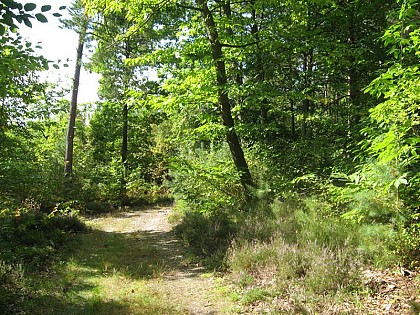 Circuit de la fosse aux loups