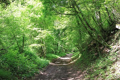 Circuit des Roches