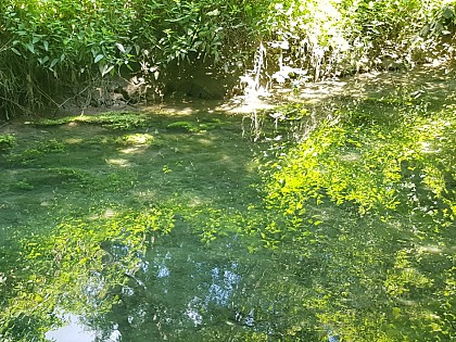 chemin des sources bleues