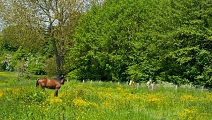 Equestre - Boucle de la Vallée de la Vire