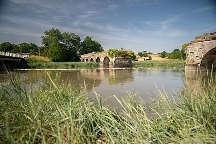 Pédestre - GR 223 - Regnéville-sur-Mer - Saint-Martin-de-Bréhal