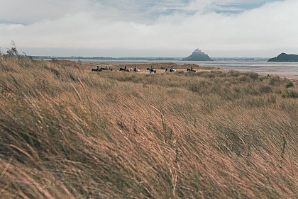 Pédestre - GR 223 - Genêts - Pontaubault