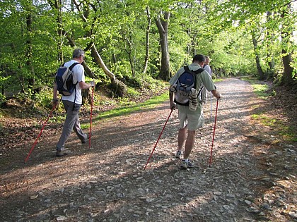 Pédestre - Les chemins de saint Michel - Chemin intérieur - Cérences - La Haye-Pesnel