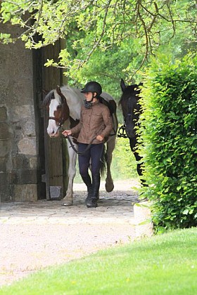 Equestre - Rando des Haras Nationaux - Haras National de Saint-Lô - Baudre