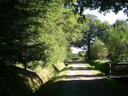 Pédestre - Promenons-nous dans les bois... de Saint-Sauveur-le-Vicomte