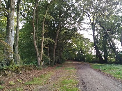 Le Mont du Roc
