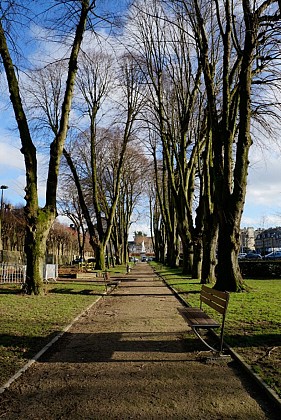 Promenade du CAUE "des arbres, d'un jardin à l'autre"