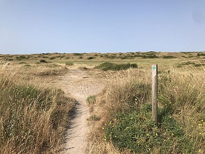 Les dunes de Créances - Sentier de découverte