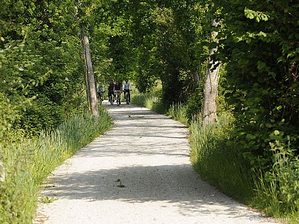 Cycle ride in Bellou-sur-Huisne on the Véloscénie route - Say it with flowers!