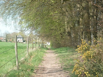 Circuit N°12 : De Motteville à Flamanville