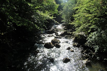 Pêcher sur l'Auvézère à Saint-Mesmin