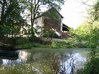 Circuit du Moulin de Ras - Brissac-Quincé