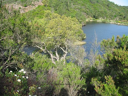 Le rucher de Blay et le moulin à eau de Blanche - Rando 10