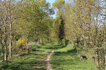 Circuit de la Petite Crête n°173