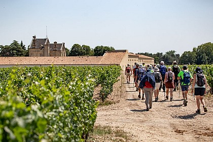 "La Randonnée des Châteaux" à Pauillac