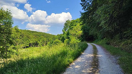 Circuit du Bois de la cour - Boucq | Rangéval