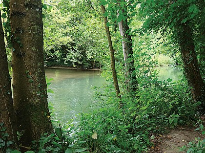 Between Auxence and Voulzie