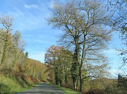 Circuit à vélo "Au Pays des Croquants"