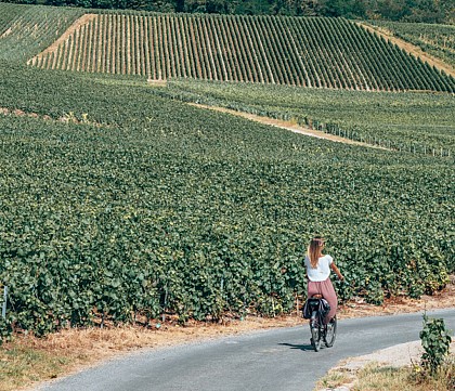 Route des Bulles Vertes