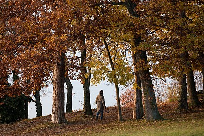 Sentier de la Pinède