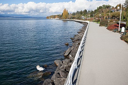 Circuit pédestre de Thonon