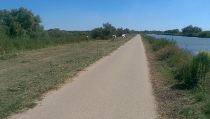 F3R-HAE - De le Tour Carbonnière à Gallician par la Via Rhôna