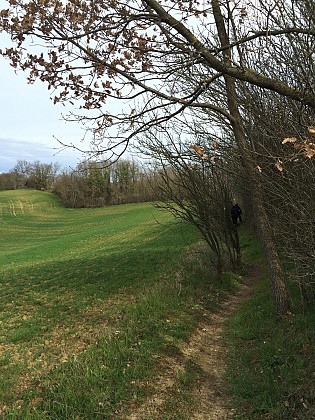 Le chemin du Yané (PR®)