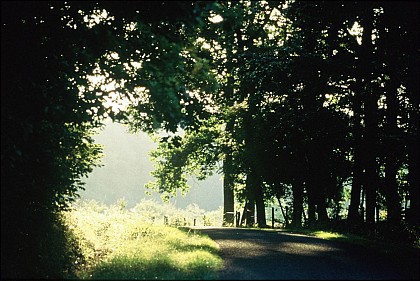 L'affût des canons à VTT