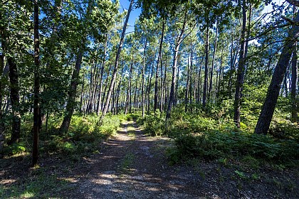 Circuit rando d'Arnaudin