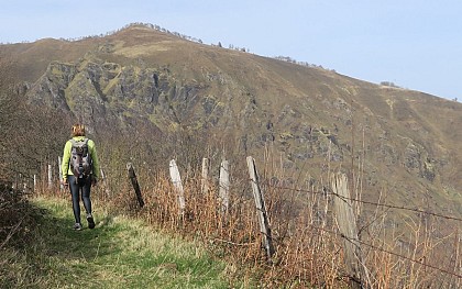 Jauregiberri