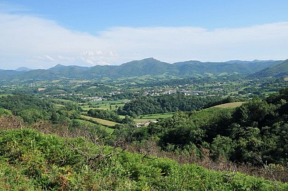 Bizkartzun
