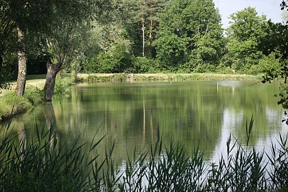 Le Sentier de l'Etang d'Arbonneau