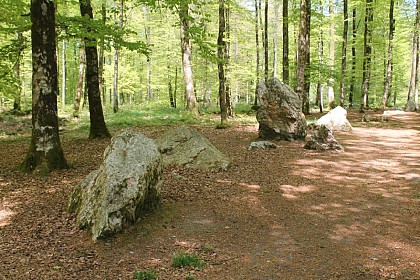 Circuit des Vieux Châteaux