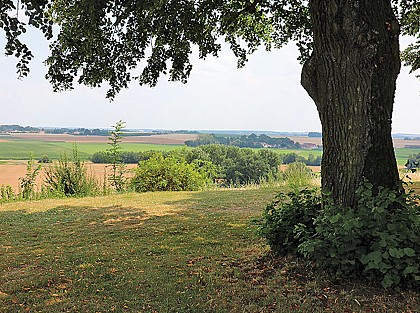 Around Doue