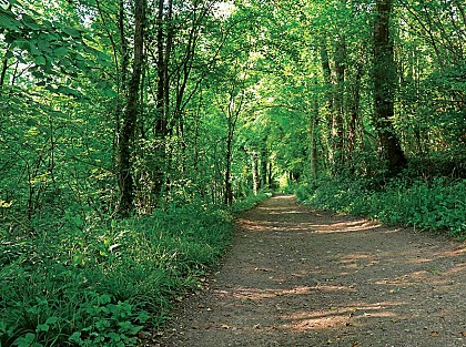 Chemin des Gailles