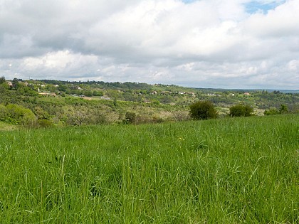 Boucle VTT Rouffignac-Le Moustier (N°5)