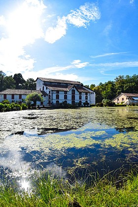 Sur les traces des forges