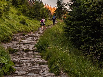 Les coteaux de Léojac - PR4