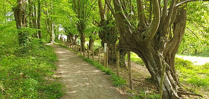 AUTOUR DU BOULEVARD NATURE : ROUILLON LE CIRCUIT DES VIGNES