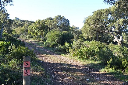 Panoramas