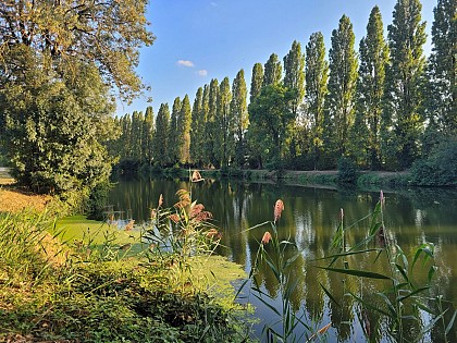 AUTOUR DU BOULEVARD NATURE : PORT DU MANS - ARNAGE, EN LONGEANT LA SARTHE, RIVE DROITE