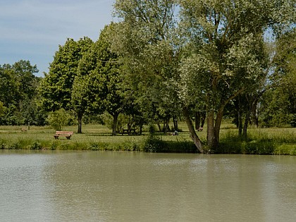 Le sentier à l'orée de la Sologne