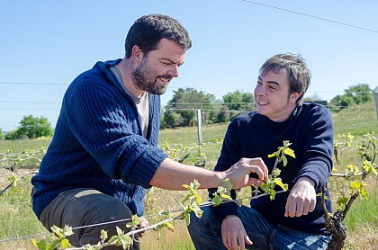 ROUTE DES VINS DU VAL DE LOIRE (Nantes/Champtoceaux/Oudon/Mauves-sur-Loire/Nantes)